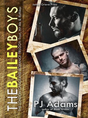 cover image of The Bailey Boys